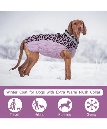 Kuoser Warm Dog Jacket | Reflective Windproof Coat for Small & Large Dogs | Stylish Purple Winter Coat - Buy Online on GoSupps.com