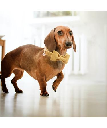 Dogwong Adjustable Yellow Dog Collar with Removable Fly | Perfect Gift for Small to Large Dogs | Comfortable & Stylish Pet Accessory (Pack of 1) - Buy Online on GoSupps.com