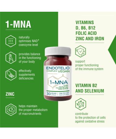 Endotelio 1-MNA Vegan Anti-Aging Supplement Optimizes NAD+ Vitamins and Minerals for Women and Men with D3 K2 B2 B6 B12 Folic Acid Zinc Iron Iodine Selenium Fatigue 30 Capsules - Buy Online on GoSupps.com