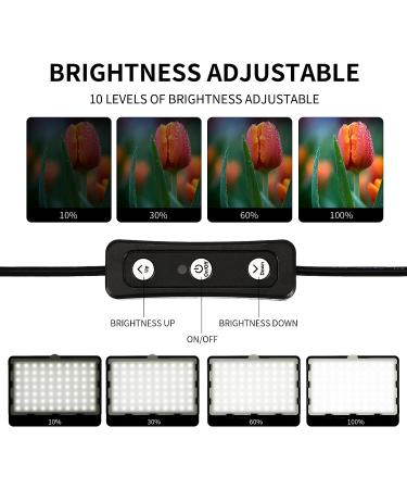 Professional Photography Video Lighting Kit with 70 LEDs, Color Filter - Perfect for Studio, Streaming, YouTube, TikTok, Portrait Shooting - Black - Buy Online on GoSupps.com