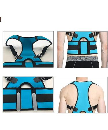 Waist Trainer Support Back Brace Posture Corrector for Women and Men Lumbar Shoulder Posture Support for Improve Posture Provide Back Pain Relief (Color : B Size : Large) (C X) - Buy Online on GoSupps.com