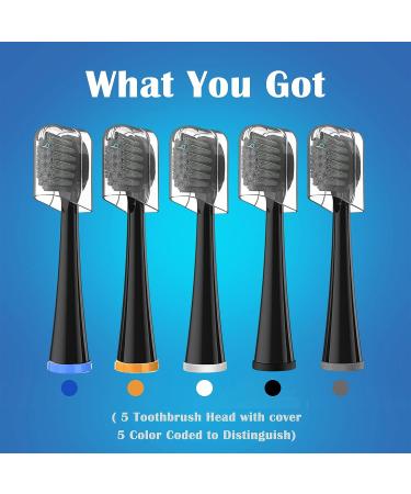 5 Count Compact Replacement Brush Heads with Covers for Flossing Toothbrush - Black | Pack of 1 - Buy Online on GoSupps.com