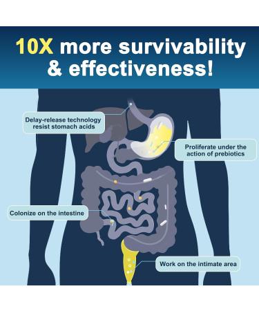 Probiotics for Men Digestive Health 120 Billion CFUs Mens Probiotic with Digestive Enzymes & Prebiotics & Saw Palmetto & Cranberry for Gut Prostate & Urinary Tract Health Shelf Stable 90 Capsules 90 Count (Pack of 1) - Buy Online on GoSupps.com