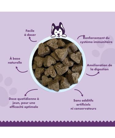 Woofies Probiotics Digestive Treats for Dogs - 90 Pieces - Strengthens Intestinal Flora and Improves Immune System - 100% Natural Prebiotic Ingredients (Beef) - Buy Online on GoSupps.com