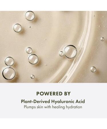 Origins Mega-Mushroom Restorative Skin Concentrate Serum | Visibly Reduces Redness & Strengthens Skin's Barrier | With Reishi Mushroom 1 Fl Oz - Buy Online on GoSupps.com