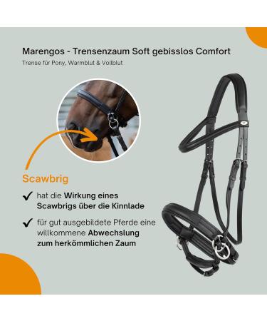 Marengos Soft Bitless Leather Bridle & Reins for Warmbloods | Anatomically Shaped Neck Piece | Premium Horse Accessories in Black - Buy Online on GoSupps.com