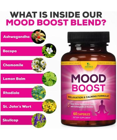 Calm Support Supplement - 1000mg Herbal Formula with Ashwagandha, L-Theanine, GABA - Natural Calm, Mood & Stress Support - 60 Capsules - Buy Online on GoSupps.com