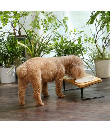FUKUMARU Elevated Cat Ceramic Bowls - Small Dog 15 Tilted Food & Water Feeding Dishes with Solid Wood Stand - For Cats and Puppies - Buy Online on GoSupps.com