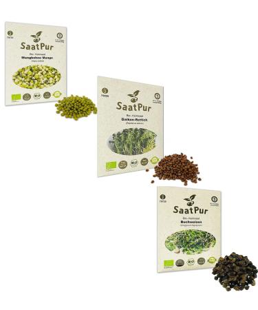SaatPur ORGANIC Sprouts Assortment 3 ORGANIC Varieties Fitness Mix Mixture - Mungo Mung Bean + Daikon Radish + Buckwheat - Buy Online on GoSupps.com