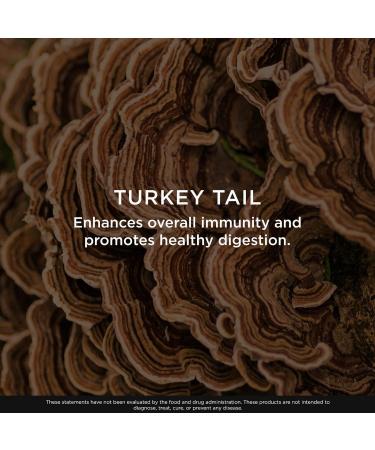 The Genius Brand Genius Turkey Tail - Plant-Based Supplement for Immune, Gut & Antioxidant Support - Organic & Non-GMO - 120 Veggie Capsules 120 Count (Pack of 1) - Buy Online on GoSupps.com