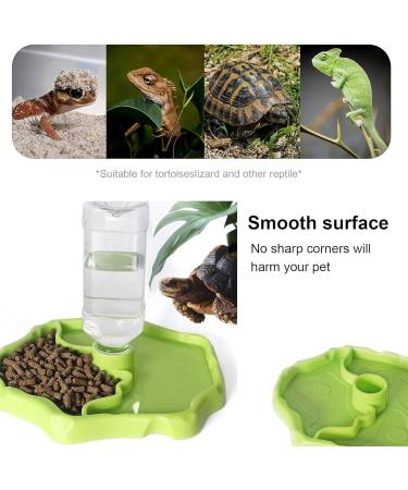 BEANPRECOY Reptile Water Dispenser Turtle Water Bowl 2 in 1 Reptile Automated Feeder Turtle Water Dispenser with Bottle for Turtles Hamsters Lizards Bearded Dragon Snake (Green) - Buy Online on GoSupps.com