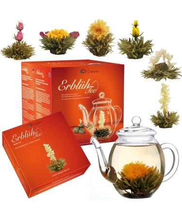 Creano Blooming Tea Gift Set - Glass Tea Pot with 6 White Tea Flowers - Buy Online on GoSupps.com