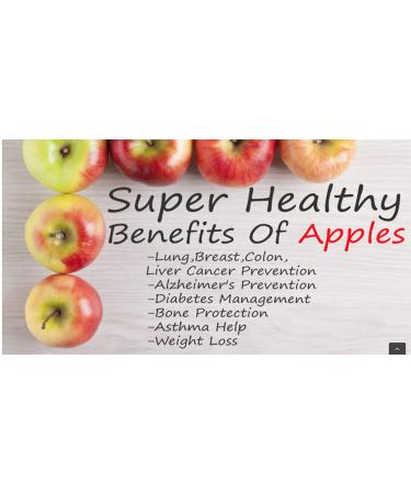 North Coast Organic Honeycrisp Apple Sauce 24oz (6 Pack) - Pure & Delicious - Buy Online on GoSupps.com