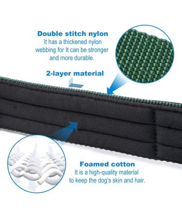 Buy Tspro Premium Dog Collar with Handle - Adjustable Heavy-Duty Collar for Small to Extra Large Dogs (Red Size M 37-46cm) - Quick Lock Metal Buckle - Buy Online on GoSupps.com