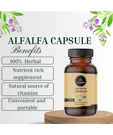 Naturevibe Botanicals Alfalfa Capsules - 180 Veg Capsules | 1000mg/Serving | Pure Herb Powder - Buy Online on GoSupps.com
