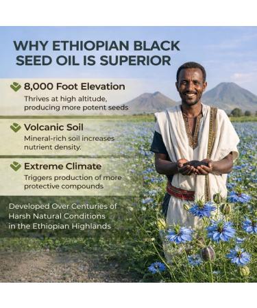 PURELYNUTRIENT Ethiopian Black Seed Oil Softgels |4.64% Thymoquinone | Non-GMO Gluten-Free 60 Capsules - Buy Online on GoSupps.com
