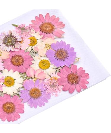 160pcs Dried Pressed Flowers for Resin Crafts - Bulk Natural Herbs Kit for DIY Art Projects - Epoxy Resin, Candle, Soap Making - Set A - Buy Online on GoSupps.com