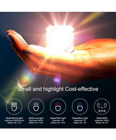 Seafrogs SL-19 Waterproof Diving Video Light | 195ft/60M White Red Blue Mini Cube LED Camera Lights | Underwater Photography Lighting with Ball Head Cold Shoe Adapter | Compatible with Gopro Canon Nikon Sony Camera - Buy Online on GoSupps.com
