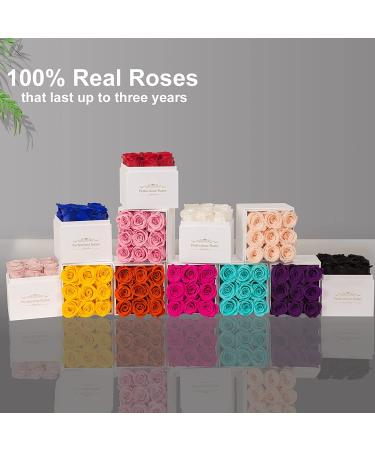 Preserved Pink Roses in Box | Long-Lasting Gift for Her | Anniversary, Mother's Day, Valentine's Day, Christmas - Buy Online on GoSupps.com