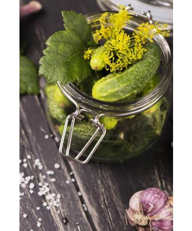 Cucamber"Pickle of Paris" - ideal for pickles - 70 seeds - Buy Online on GoSupps.com