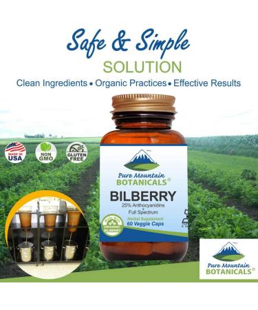 Organic Bilberry Extract Supplement - Vegan Kosher Capsules with 250mg Leaf & 50mg Fruit Extract - Buy Online on GoSupps.com