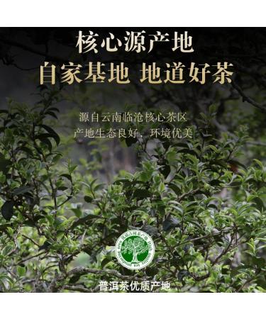 Pu-erh tea 2016 Yibang 357g Raw - Buy Online on GoSupps.com