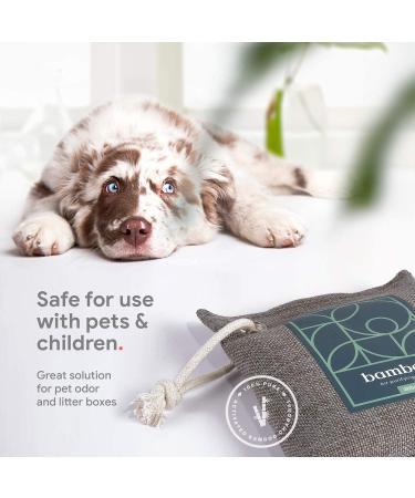 8-Pack Bamboo Charcoal Air Purifying Bags | Powerful Odor Absorber for Home & Car | Kid & Pet-Friendly Fresheners - Buy Online on GoSupps.com