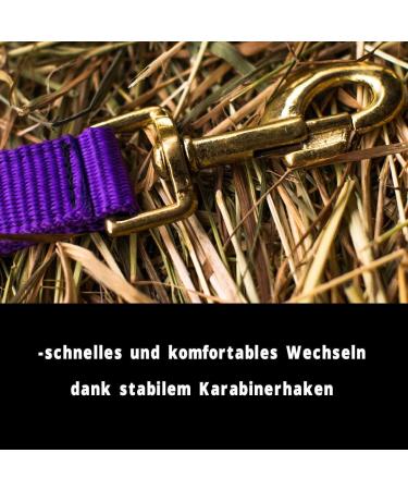 Premium Purple Halter for Horse - Adjustable Stable & Pasture Halter for Warmblood Thoroughbred & Cold Blood - Safe & Tearproof - Buy Online on GoSupps.com