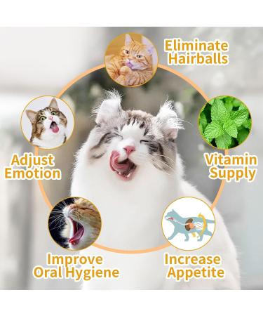 Tohdnc Catnip Balls for Cats - 4 Edible Mint Toys for Healthy Teeth & Extra Energy - Perfect for Kittens! - Buy Online on GoSupps.com