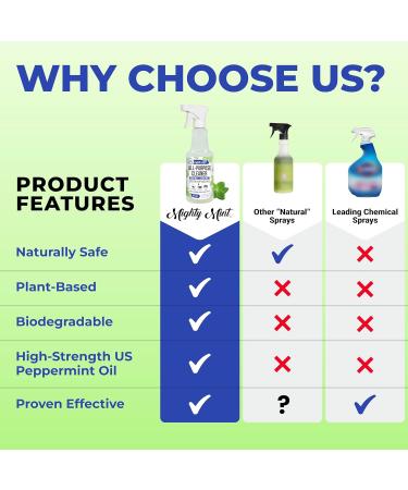 Mighty Mint All-Purpose Cleaner - Non-Toxic Natural Peppermint Spray for Home & Kitchen | 16oz - Buy Online on GoSupps.com