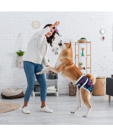 Buy Dono Reusable Dog Diapers - 3 Adjustable Washable Heat Pants for Bitches (Palm Leaves Size L) - Eco-Friendly Pet Care - Buy Online on GoSupps.com