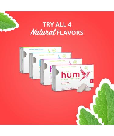 Stevita Hum Cinnamon Sugar-Free Gum - 12 Pieces x 12 Packs - Oral Health Support - Non-GMO, Vegetarian, Keto, Gluten-Free - 72 Servings - Buy Online on GoSupps.com