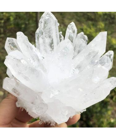 Natural Transparent White Quartz Crystal Cluster Specimen Reiki Stone kaixun (Size : 400-450g) - Buy Online on GoSupps.com