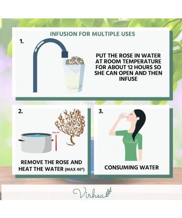 XL Rose of Jericho Chajarat Mariam - Fertility-Promoting Plant - Anastatica Hierochuntica - Buy Online on GoSupps.com