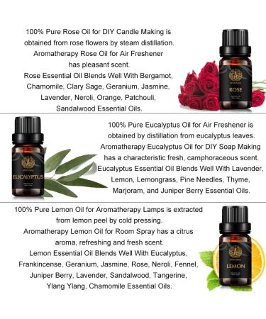 Aromatherapy Rose Essential Oil Set for Diffuser 100% Pure Lemon Essential Oil Kit for Humidifier 3x10ml Therapeutic Grade Eucalyptus Essential Oil Scent Set - Rose Lemon Eucalyptus Oil Kit for Home - Buy Online on GoSupps.com