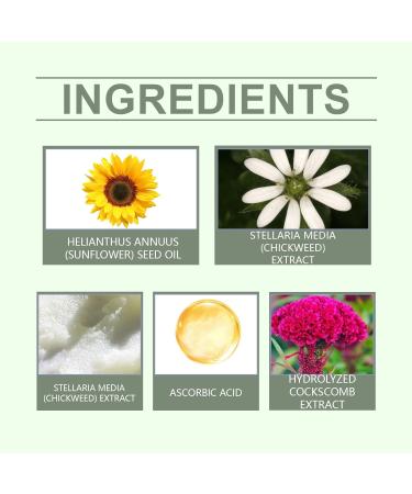 Wild Milkweed Herbal Balm Kowsunary Organic Milkweed Herbal Balm Cream Milkweed Herbal Ointment (3pcs) - Buy Online on GoSupps.com