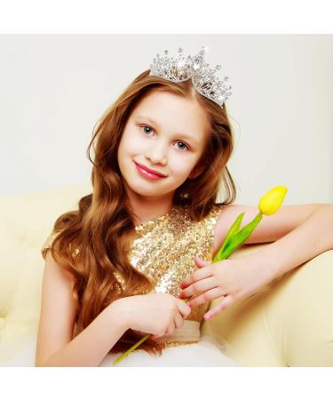 4 Pack Queen Crowns: Crystal Rhinestone Tiara Headbands for Women and Girls - Perfect for Pageants, Birthdays, Wedding, Cosplay - Silver Tiara Comb Set - Buy Online on GoSupps.com