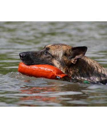 Romney's Canvas Dummy - Orange - 500g 500g orange - Buy Online on GoSupps.com