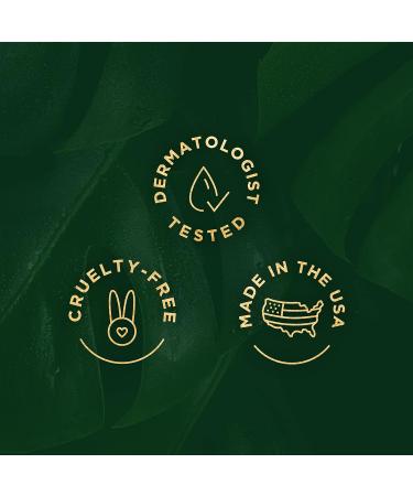 NEW LOOK Tree of Life Vitamin C & Retinol Serum Duo - Glowing & Revitalizing Skin - 1 Fl Oz (2 Pack) - Buy Online on GoSupps.com