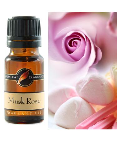 Gumleaf Fragrance Musk Rose Fragrant Oil - 0.34fl oz Cruelty Free & Vegan Phthalate-Free Fragrance