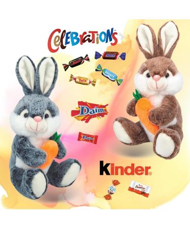Peluches Lapins et leur assortiment de 20 chocolats KINDER CELEBRATIONS DAIM - Cadeau Original pr t offrir - Buy Online on GoSupps.com