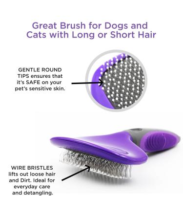 Hertzko Pin Brush for Dogs and Cats | Ideal for Detangling and Shedding | Wide Brush for Long or Short Hair - Buy Online on GoSupps.com