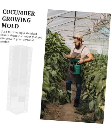 Toddmomy 2pcs Vegetable Shaping Fruit Garden Cucumber Vegetable Accessories Modeling - Buy Online on GoSupps.com