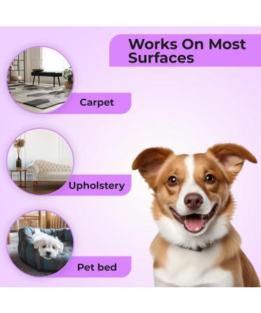 Aromasong Natural Carpet Deodorizer - Lavender Scent Upholstery & Carpet Freshener Powder for Homes with Pets & Children | 3 LBS Pet Odor Eliminator - Buy Online on GoSupps.com