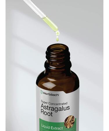 Astragalus Root Extract | 2 oz Super Concentrated Tincture | Alcohol-Free, Vegetarian, Non-GMO, Gluten-Free | Horbaach - Buy Online on GoSupps.com