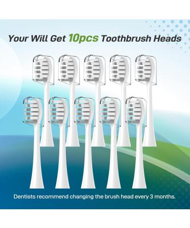 Replacement Toothbrush Heads for Gleem Electric Toothbrush - 10 Count Refills Compatible & Ideal for Superior Oral Care - Buy Online on GoSupps.com