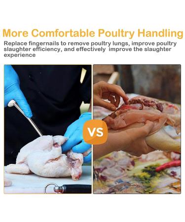 Stainless Steel Lung Remover | Chicken Slaughter Equipment Stainless Steel Poultry Lungs Remover - Comfortable Grip Multifunctional Chicken Slaughtering Lung Remover for Geese Chickens Ducks - Buy Online on GoSupps.com