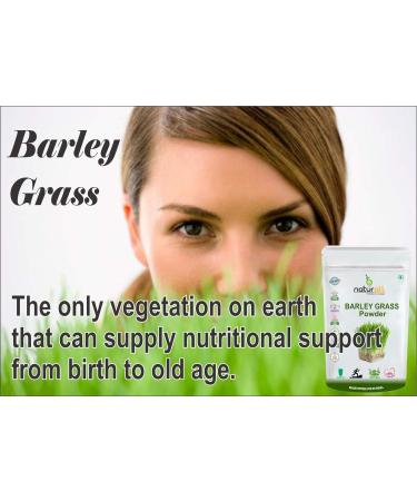 DX3 Barley Grass Juice Powder |Super food |Natural Alkaline and Chlorophyll - 100 GM - Buy Online on GoSupps.com