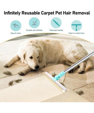 Portable Self-Cleaning Foot Remover for Pets | Lint Brush for Dog & Cat Hair | Reusable Carpet Cleaner - Buy Online on GoSupps.com