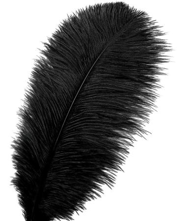 24pcs Natural Black Ostrich Feathers 10-12inch for Wedding & Home Decor - Buy Online on GoSupps.com